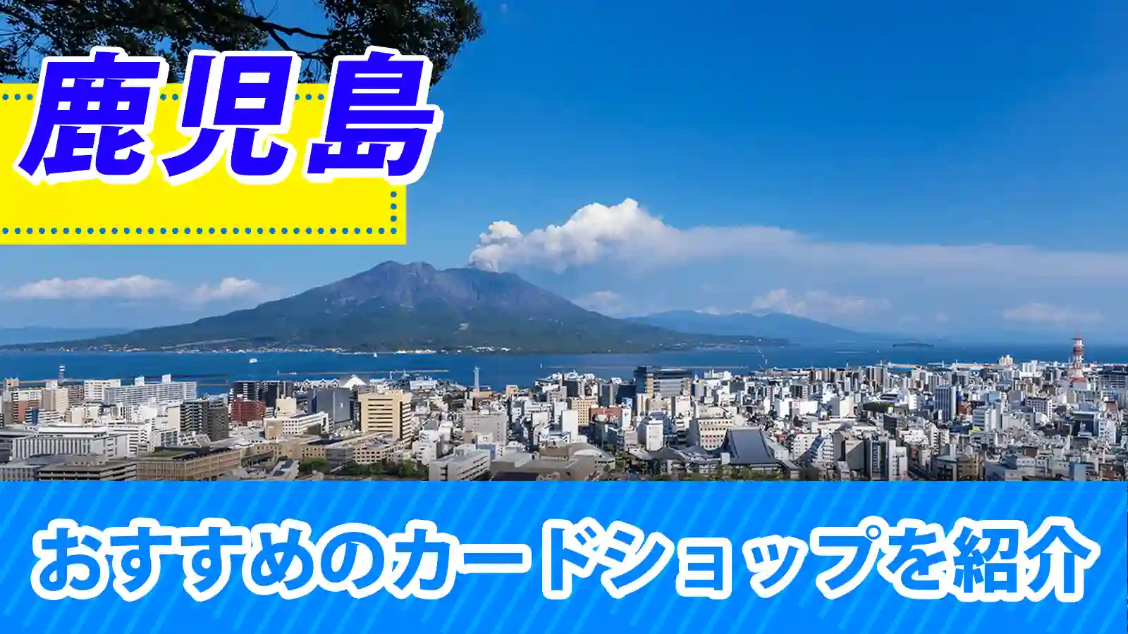 トレカ屋@ぽん 村上隆とトレカの世界』（CASABOOKS） -の商品詳細 | 蔦屋書店