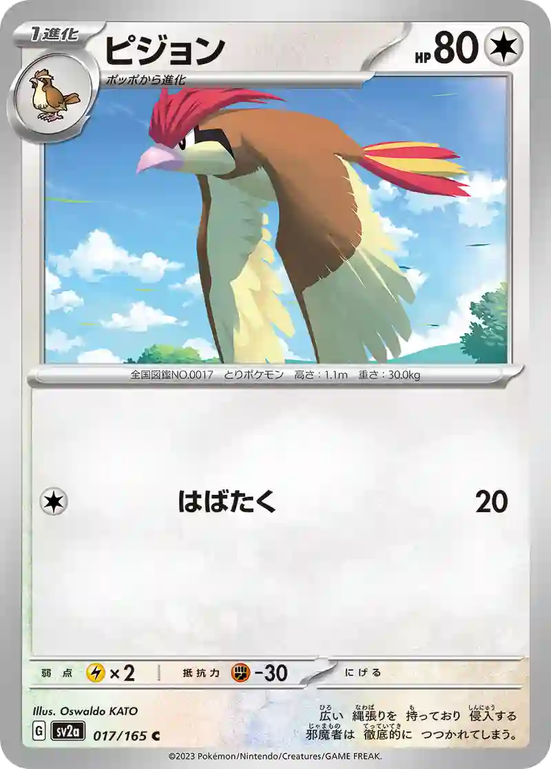 ピジョン C