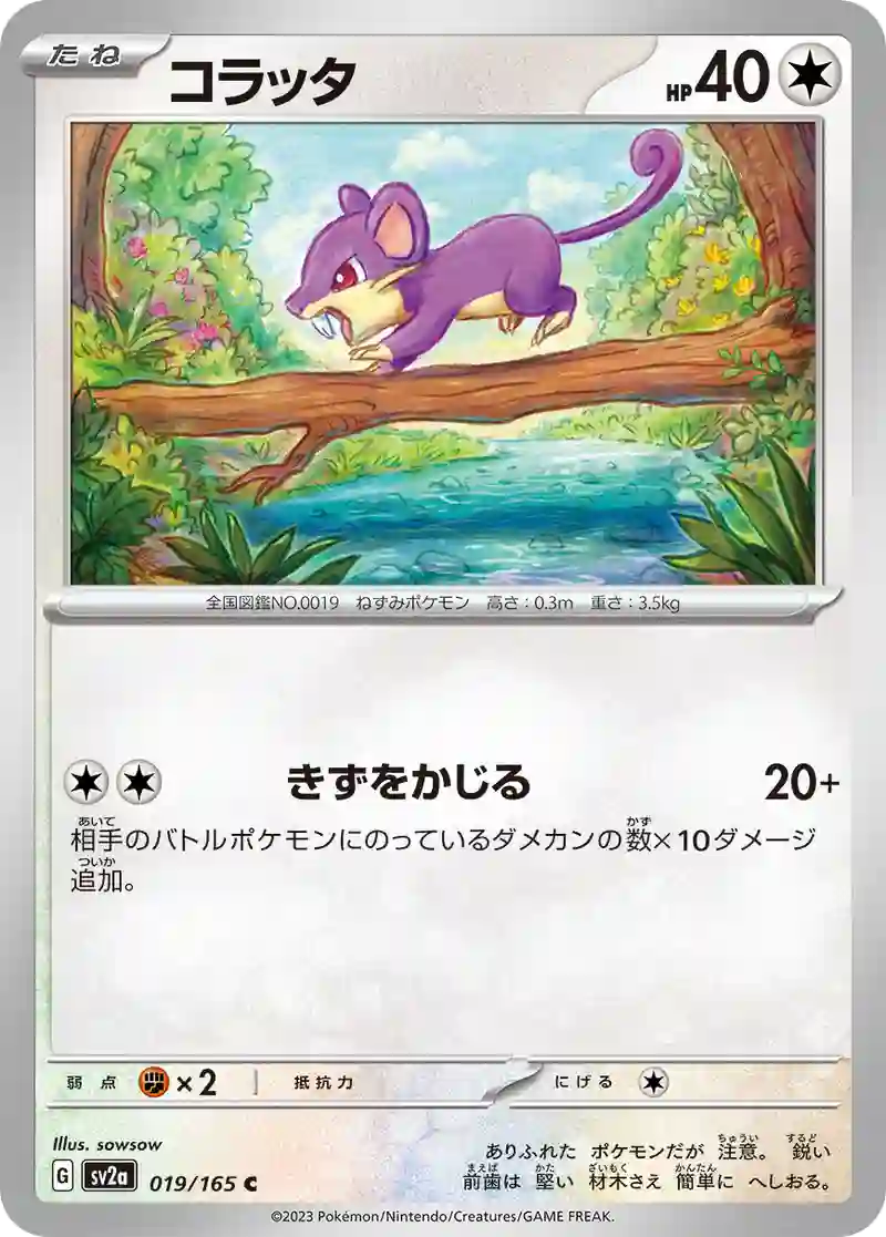 コラッタ C