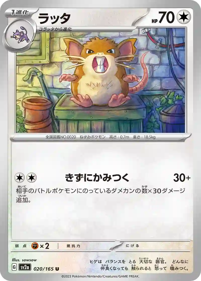 ラッタ U