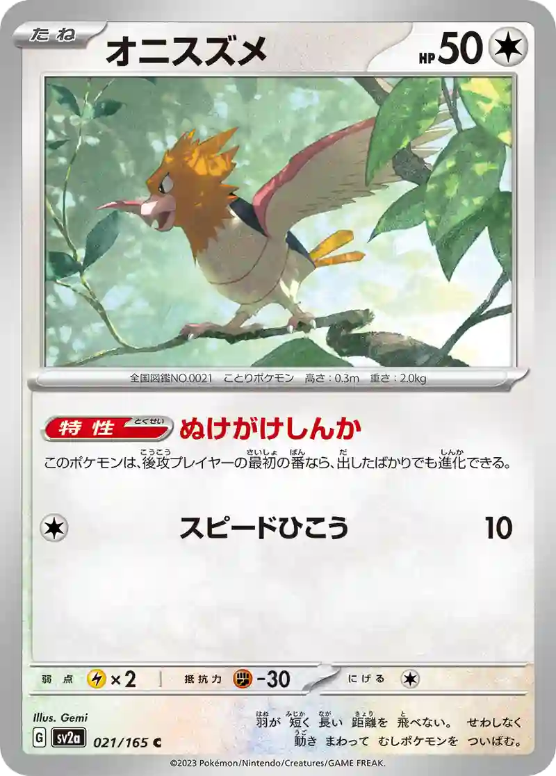 オニスズメ C