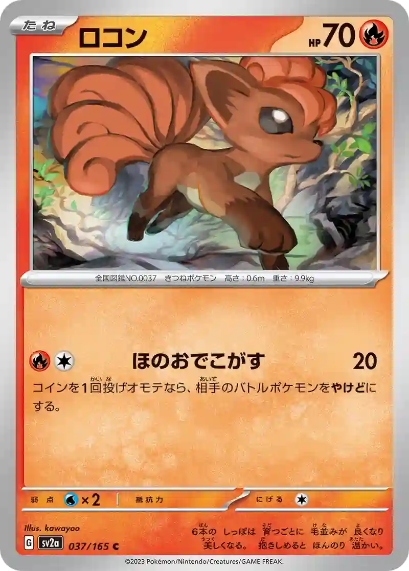 ロコン C