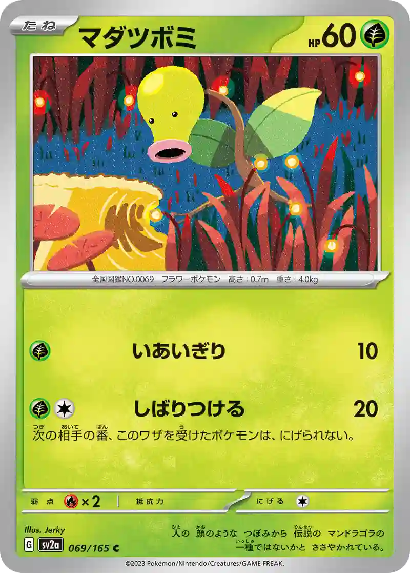 マダツボミ C