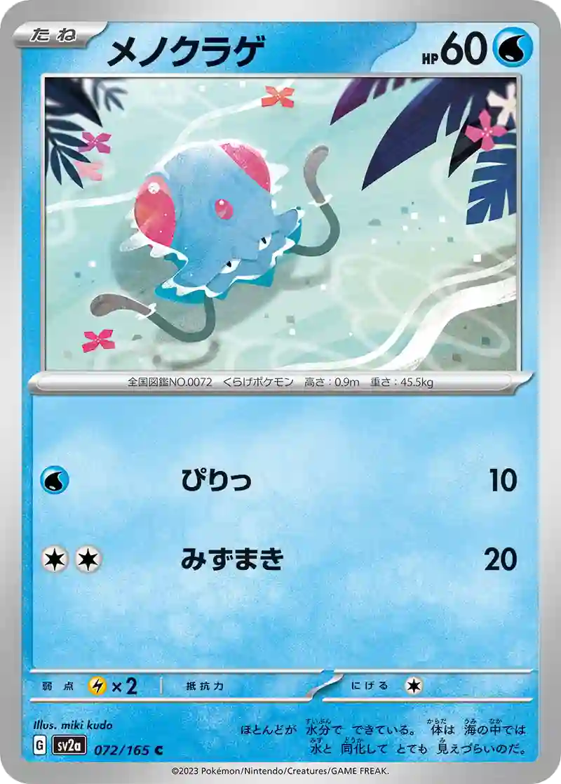 メノクラゲ C