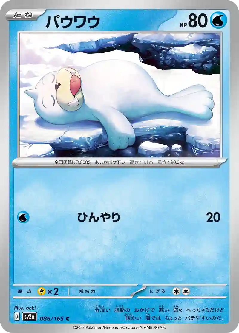 パウワウ C