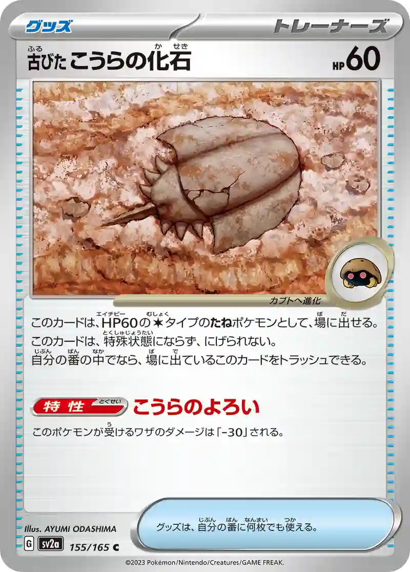古びたこうらの化石 C
