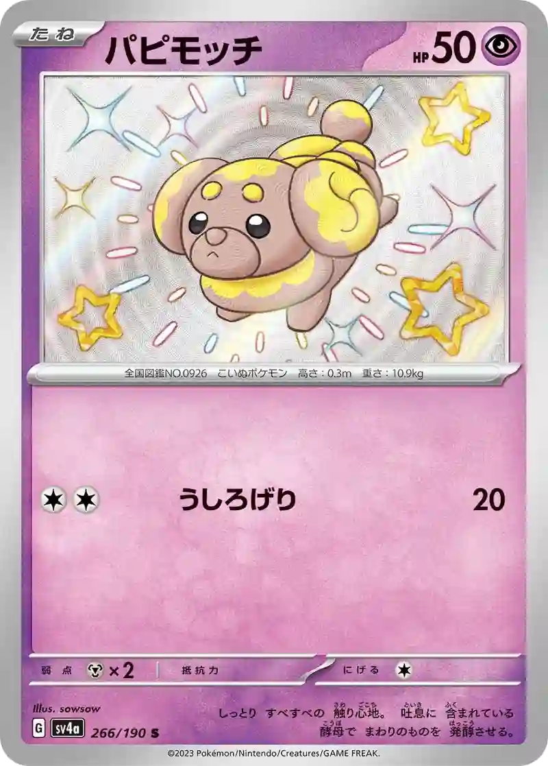 パピモッチ S
