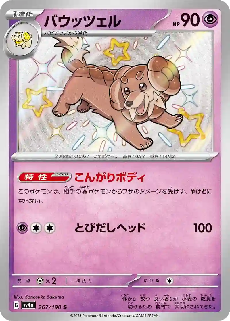 バウッツェル S
