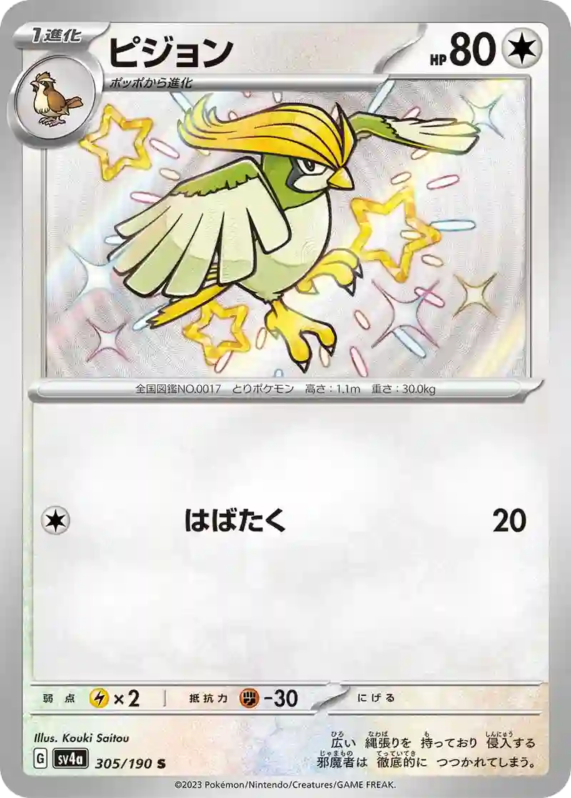 ピジョン S
