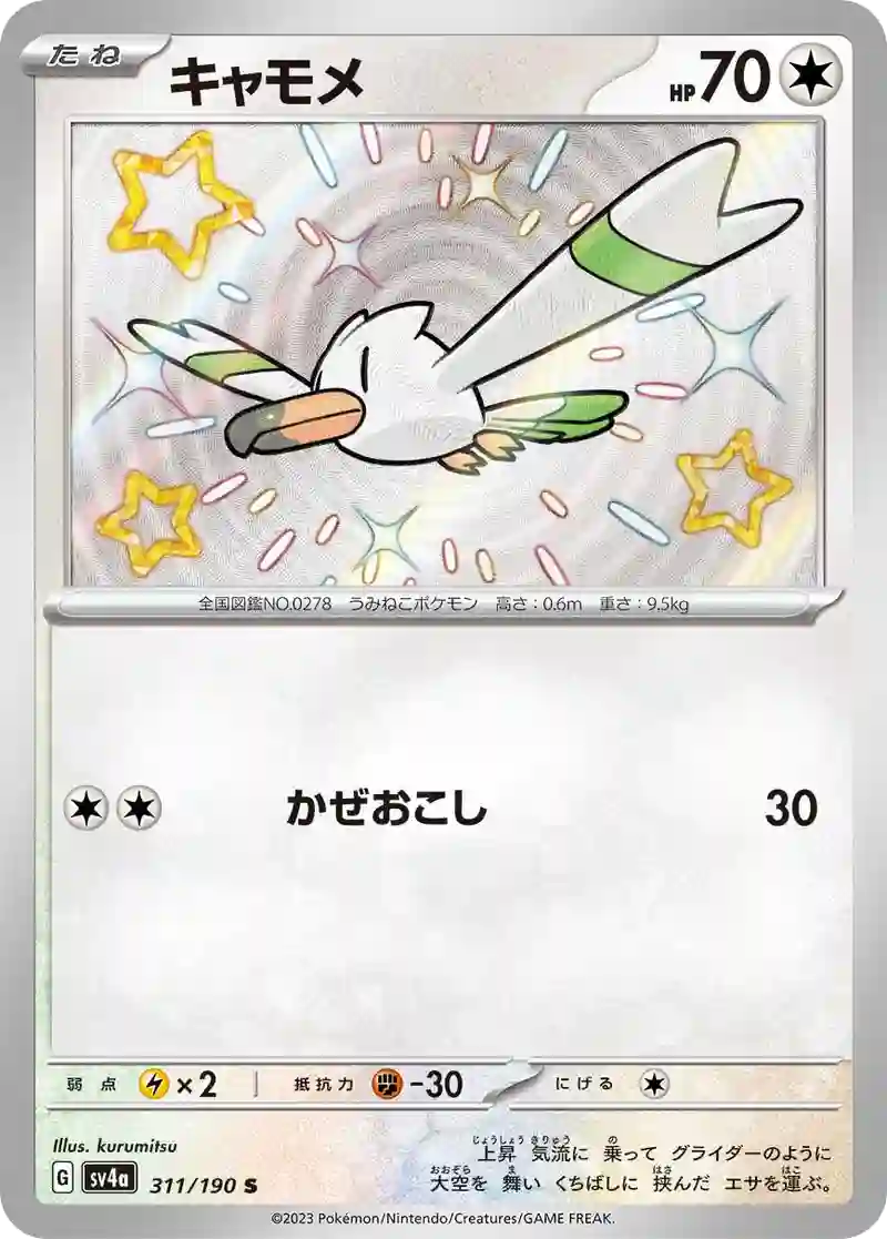 キャモメ S