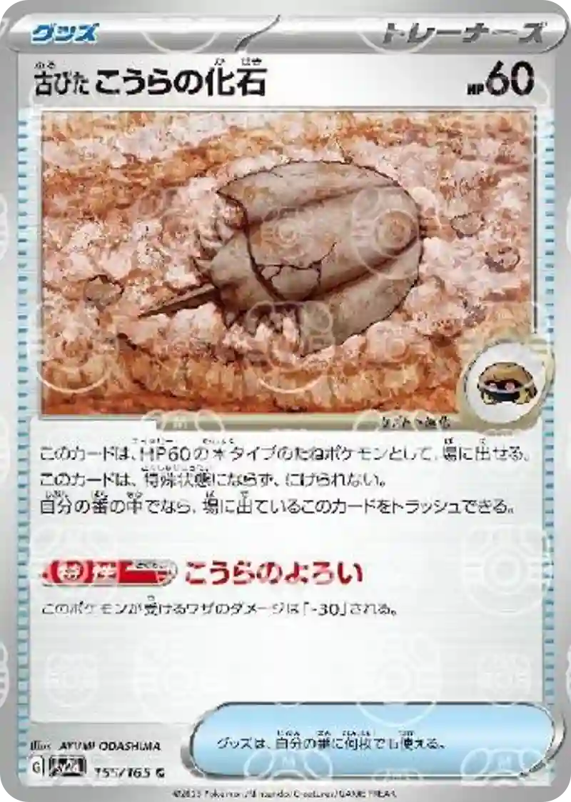 古びたこうらの化石(マスターボールミラー) C