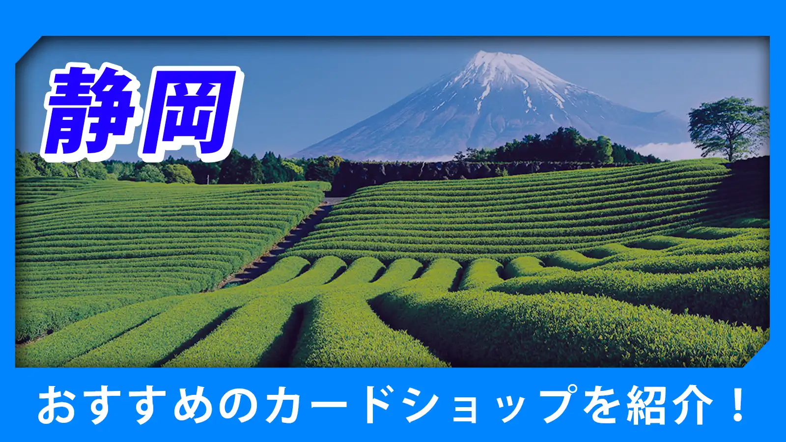 静岡近くのカードショップ（トレカショップ）おすすめのポケカや