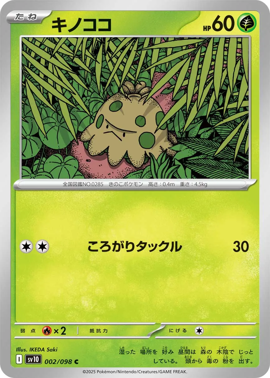 キノココ C