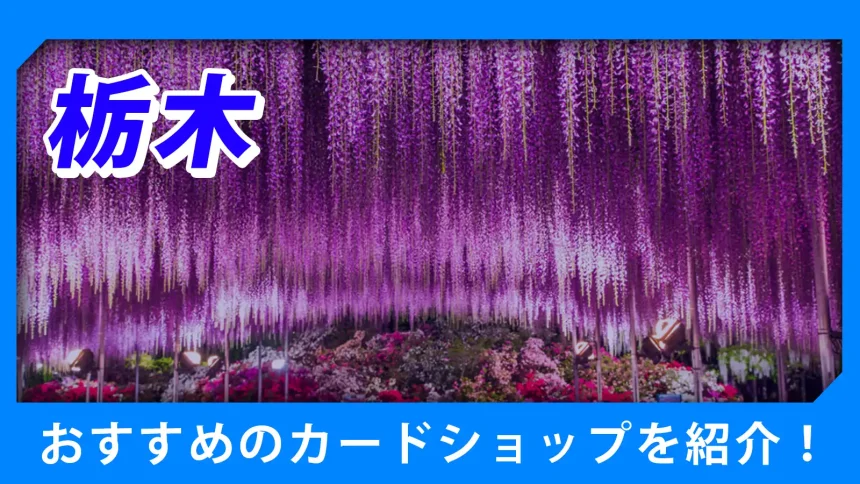 栃木の街並みが映るトレカショップ紹介のアイキャッチ画像
