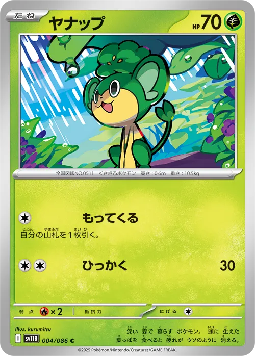 ヤナップ C