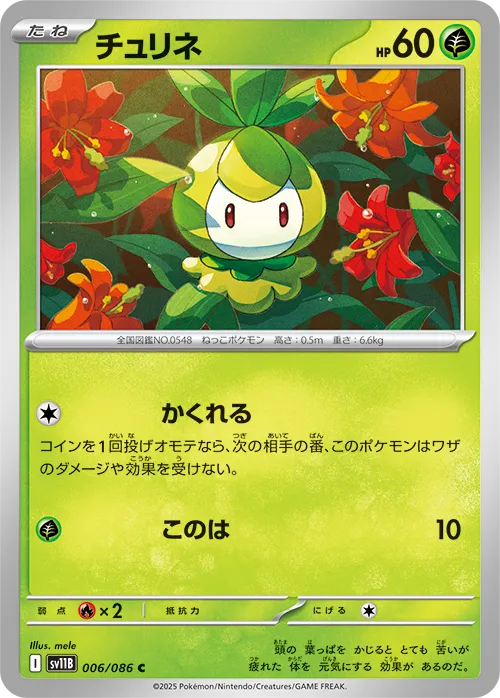 チュリネ C