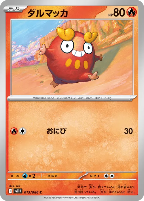 ダルマッカ C