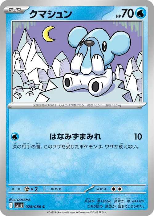 クマシュン C