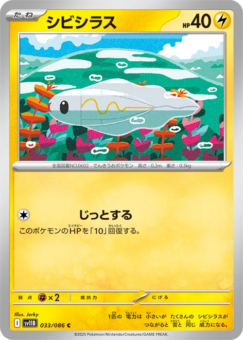 シビシラス C