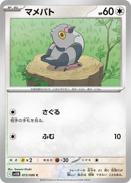 マメパト C