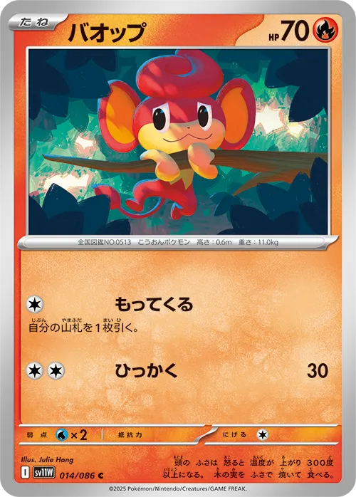 バオップ C