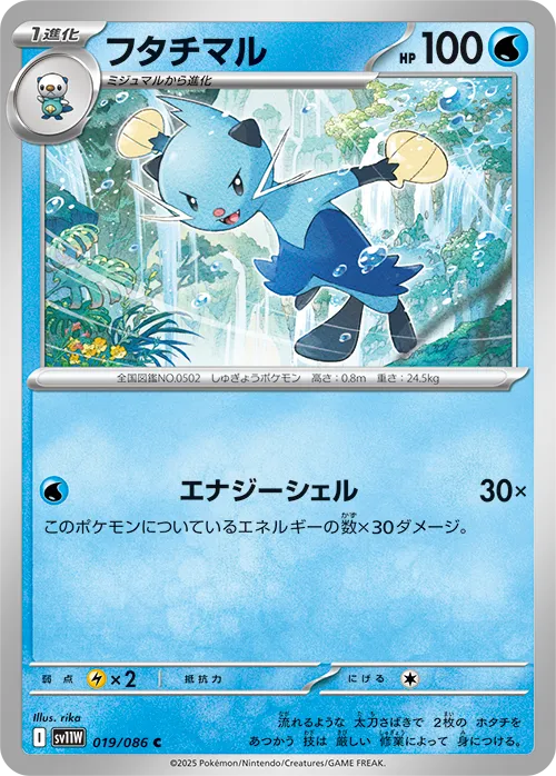 フタチマル C
