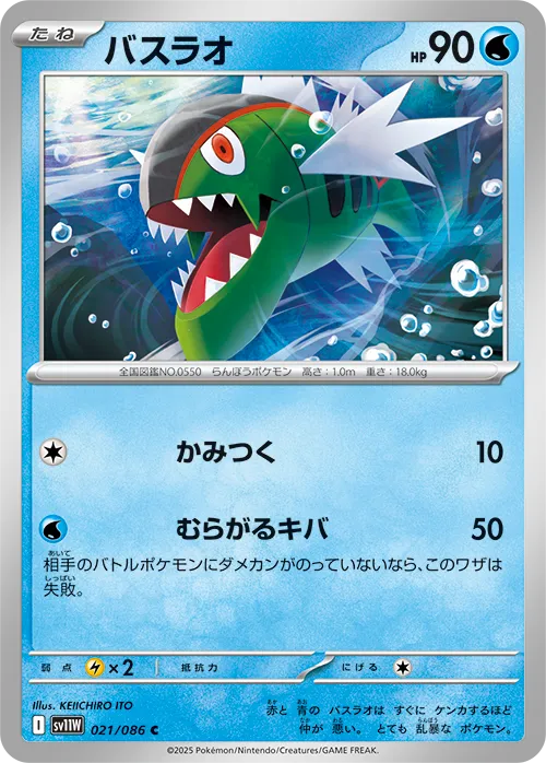 バスラオ C
