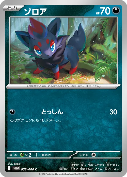 ゾロア C