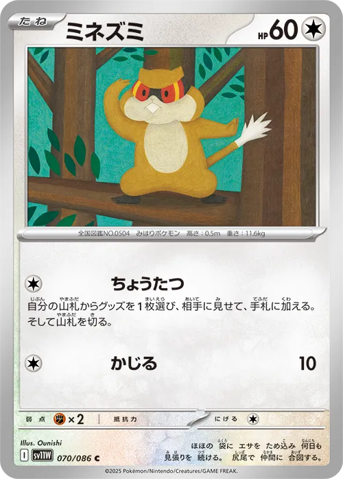 ミネズミ C