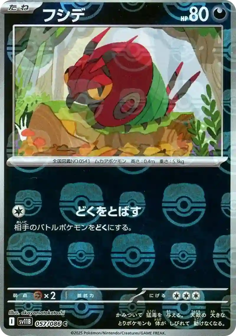 フシデ マスターボールミラー