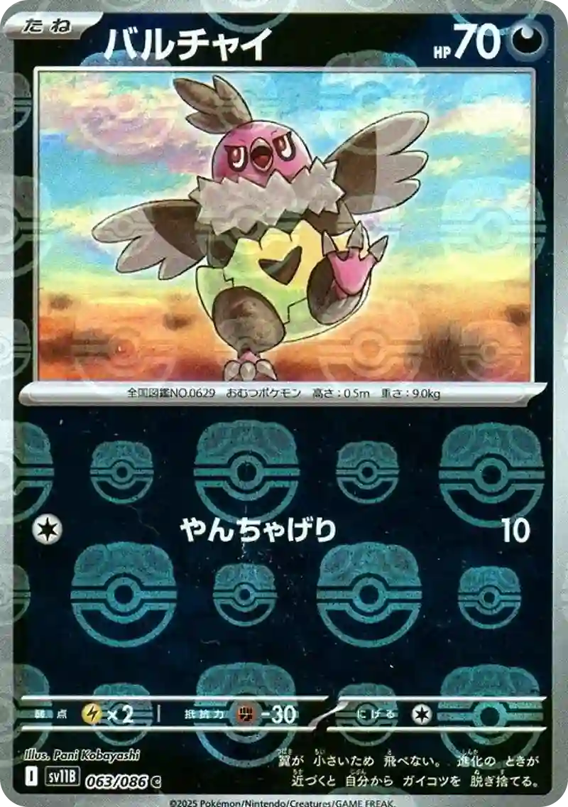 バルチャイ マスターボールミラー