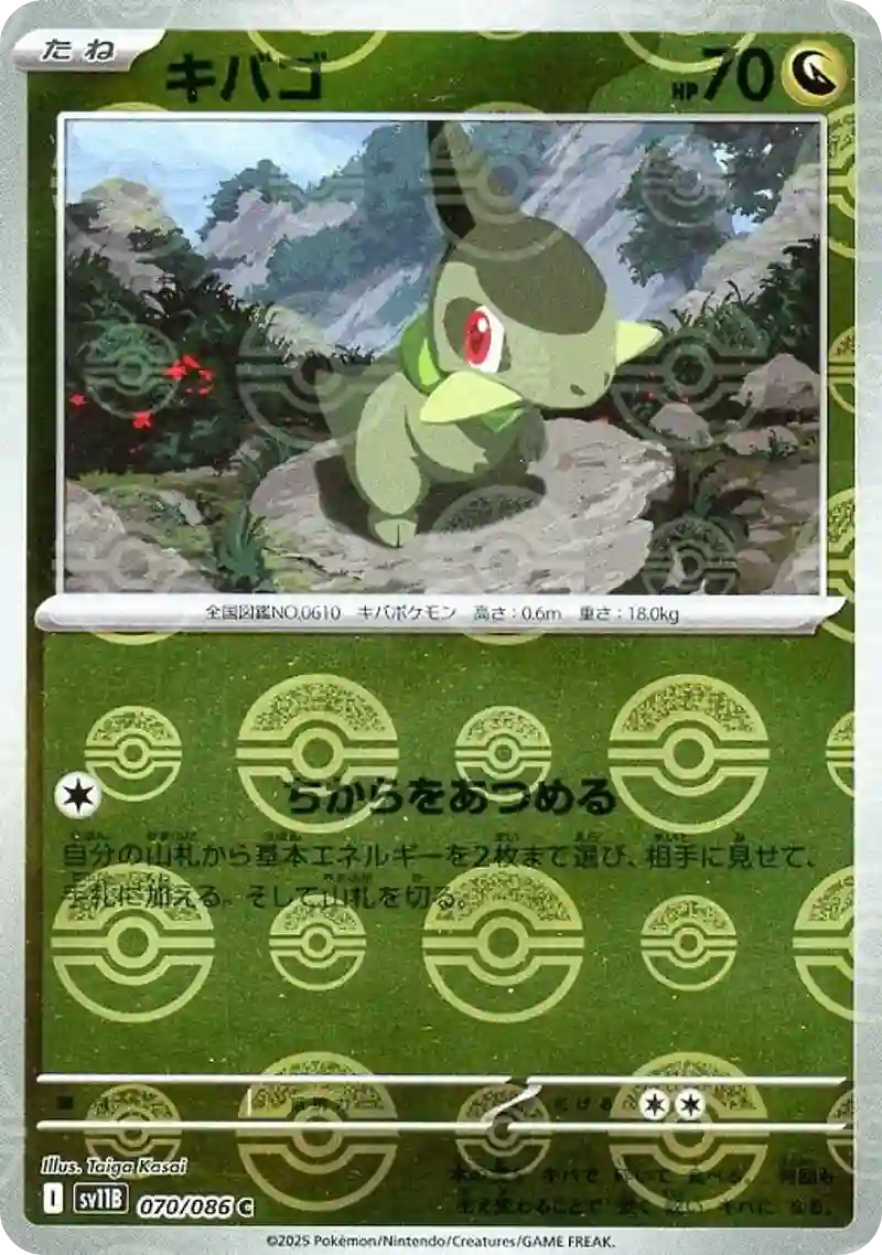 キバゴ モンスターボールミラー