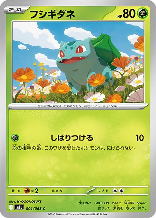 フシギダネ C