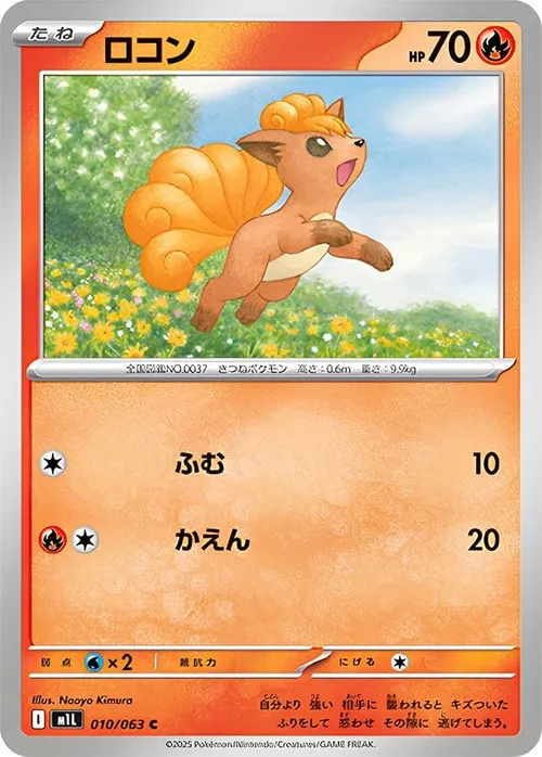 ロコン C