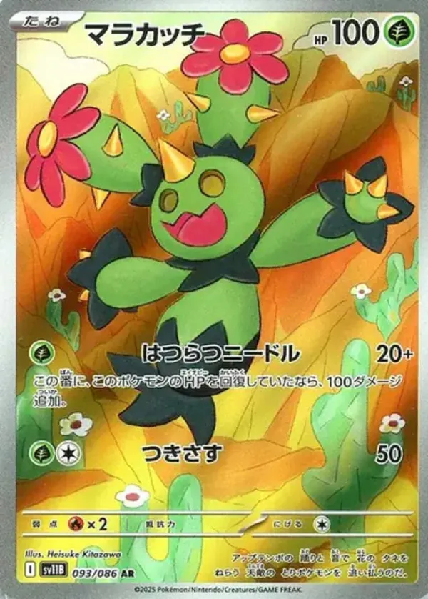 マラカッチ AR