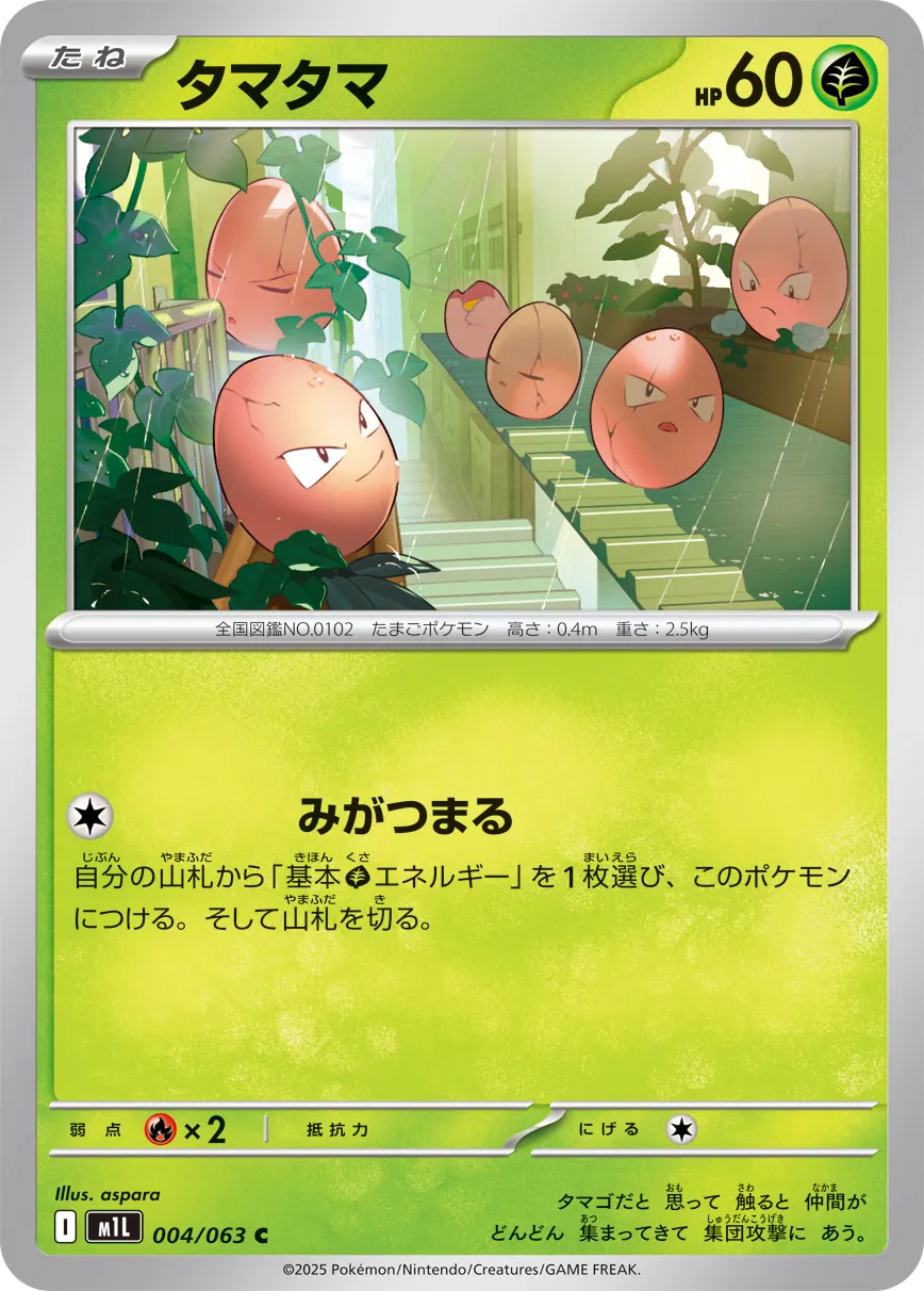タマタマ C