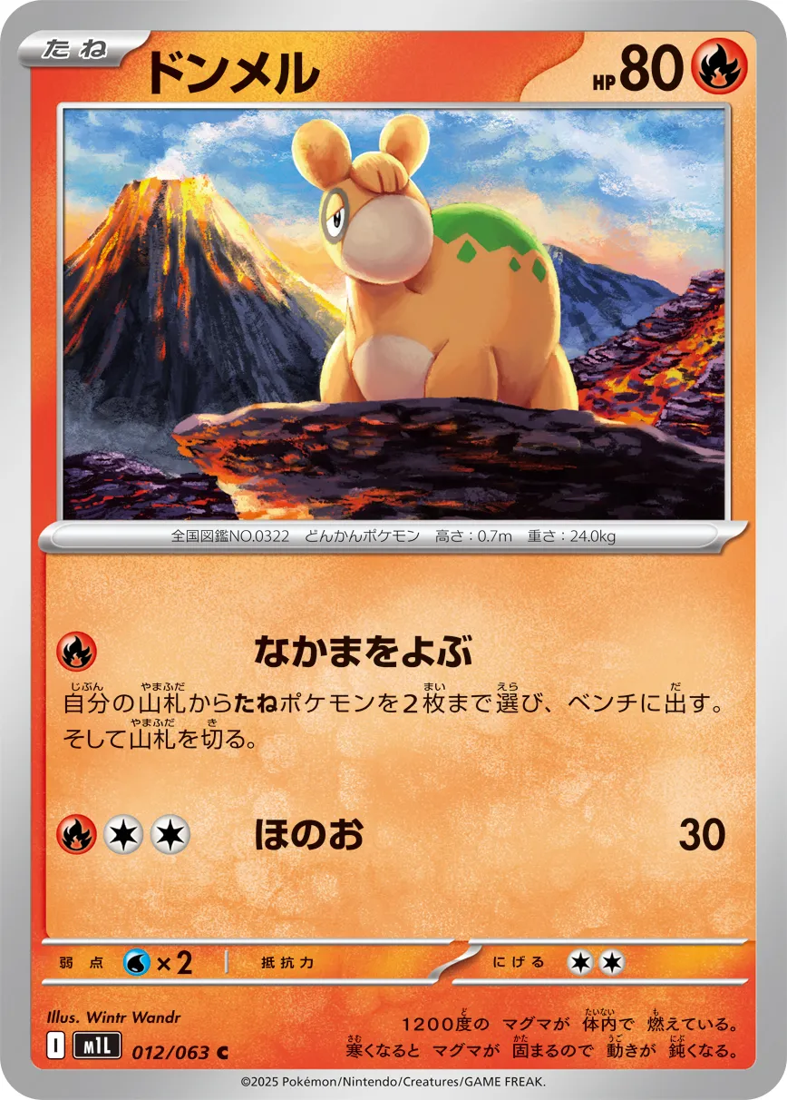 ドンメル C
