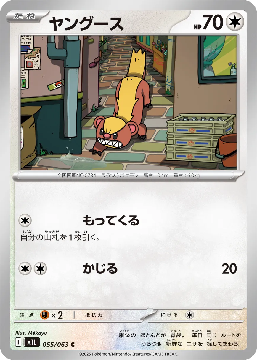 ヤングース C