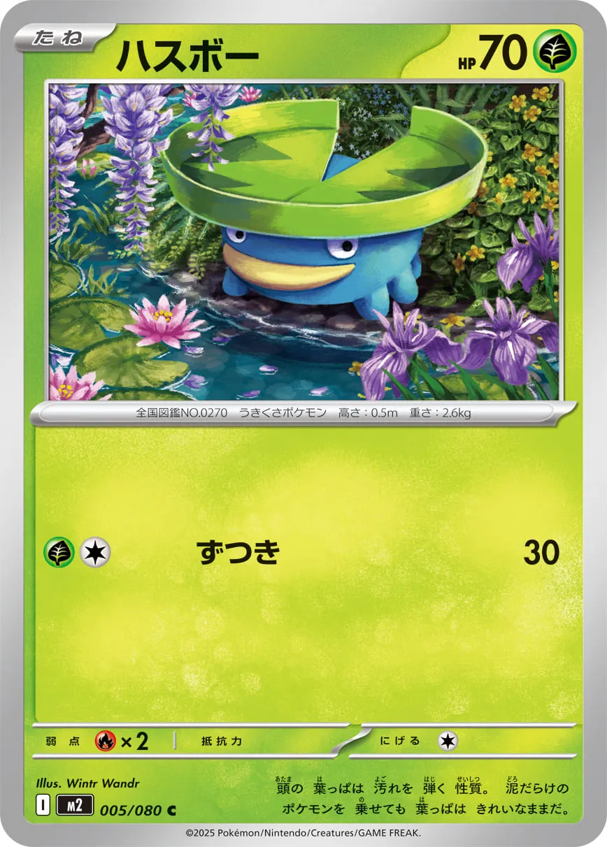 ハスボー C