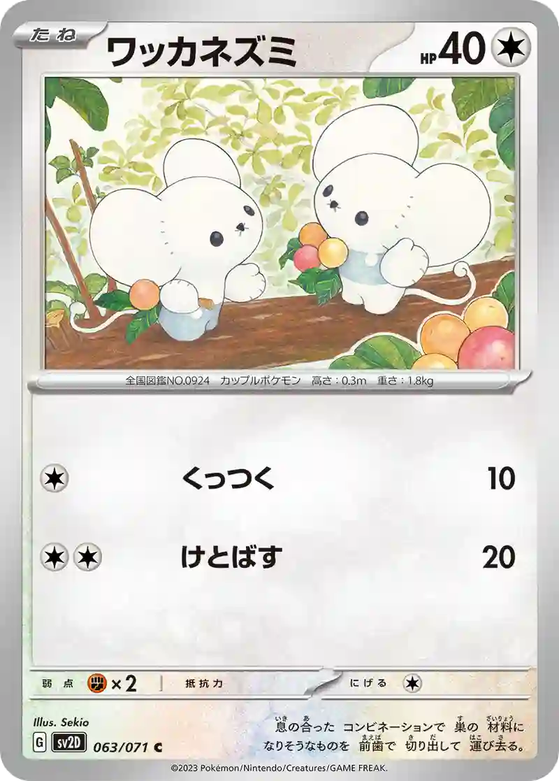 ワッカネズミ C
