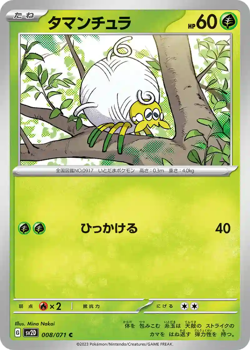 タマンチュラ C