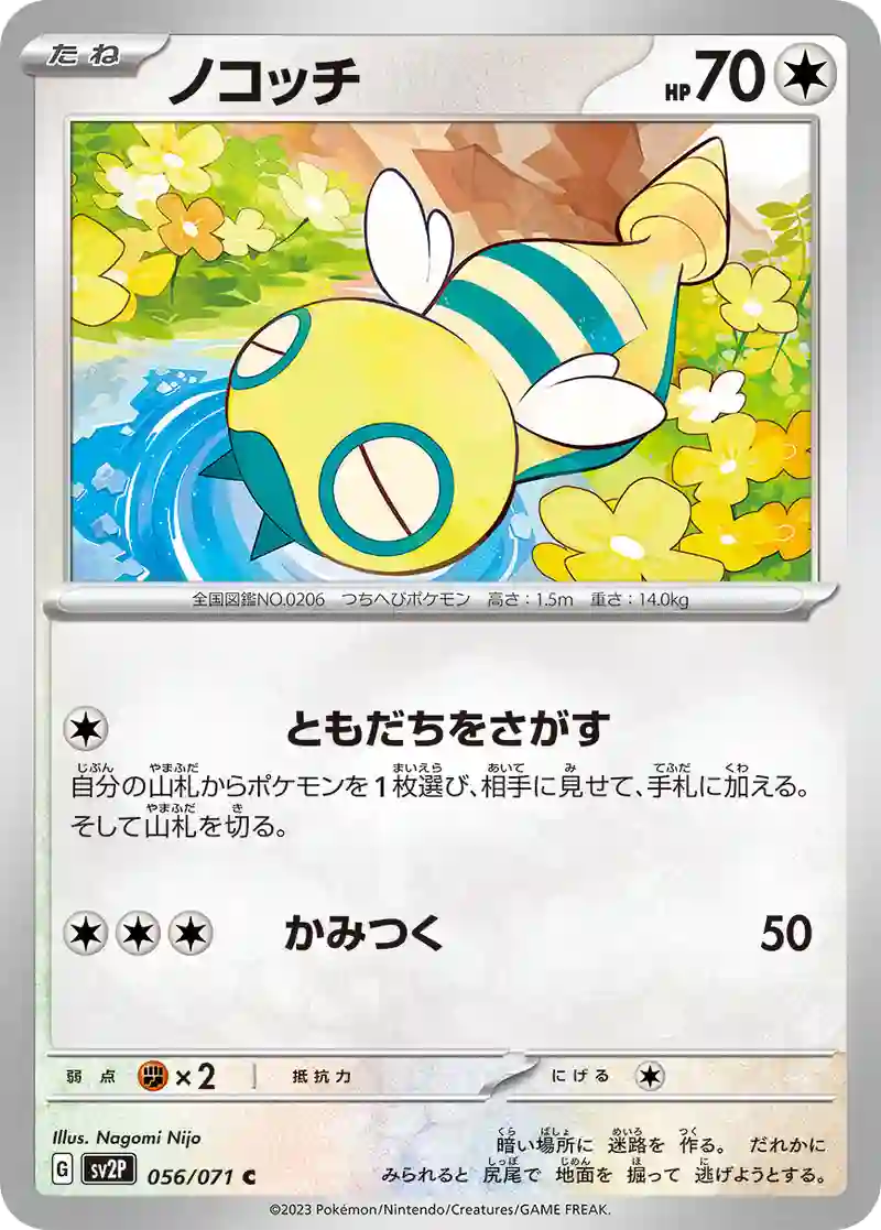 ノコッチ C