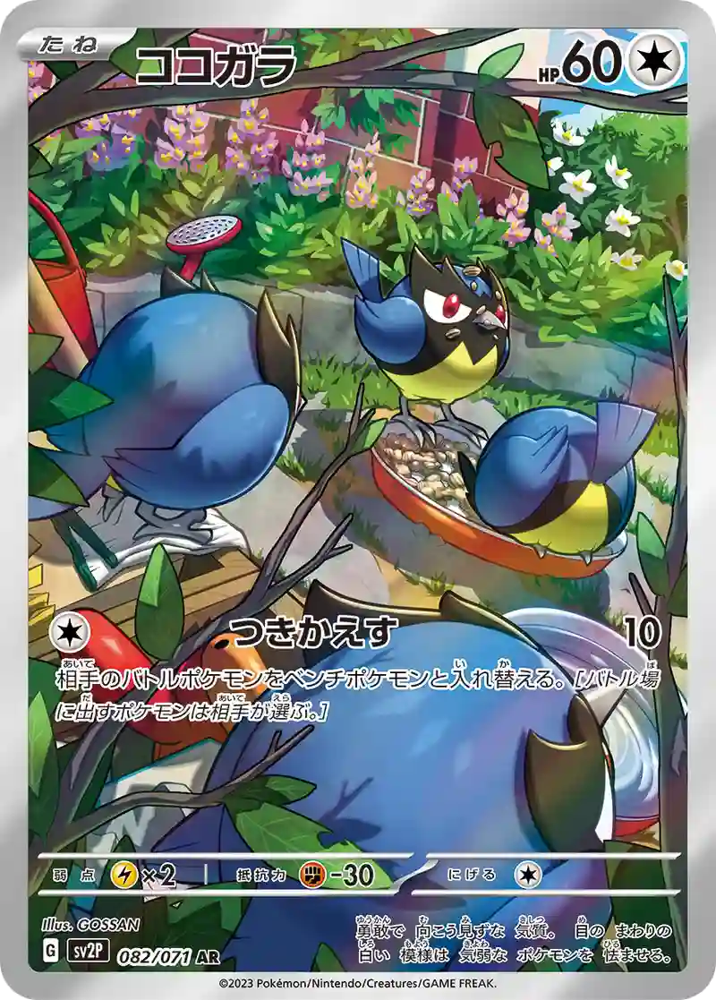 ココガラ AR