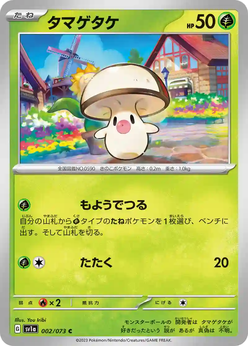 タマゲタケ C
