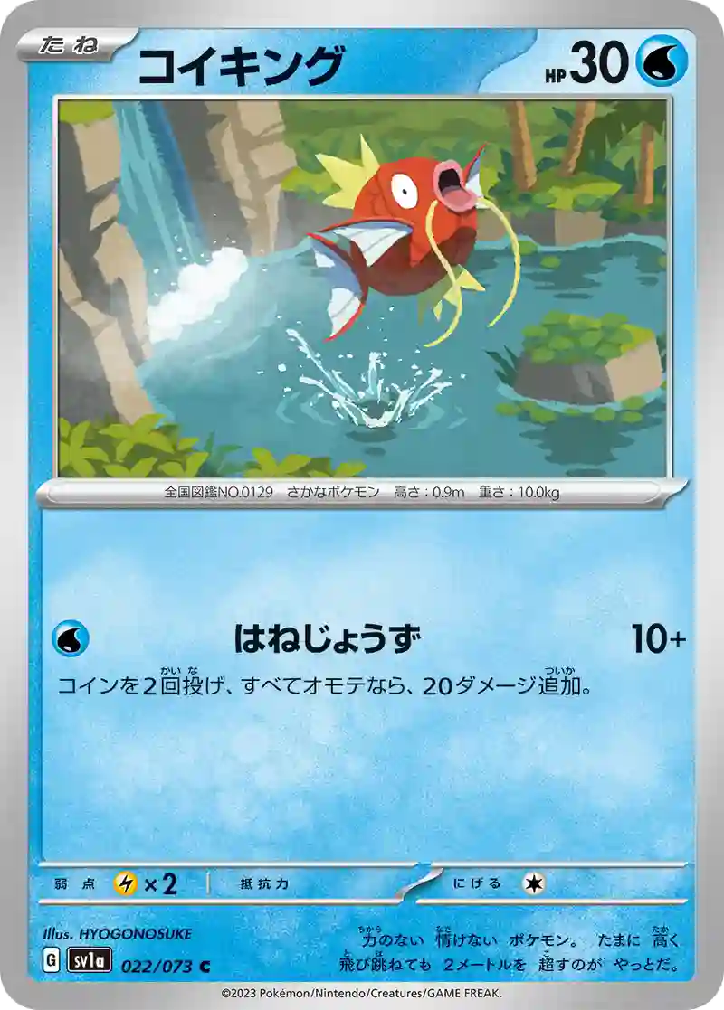 コイキング C