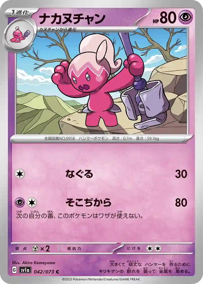 ナカヌチャン C