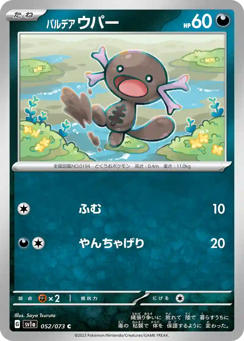 パルデア ウパー C