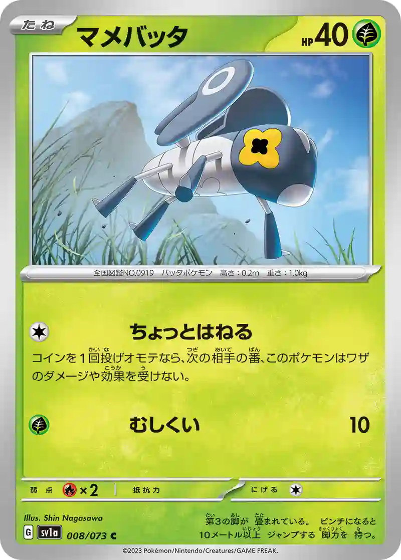 マメバッタ C