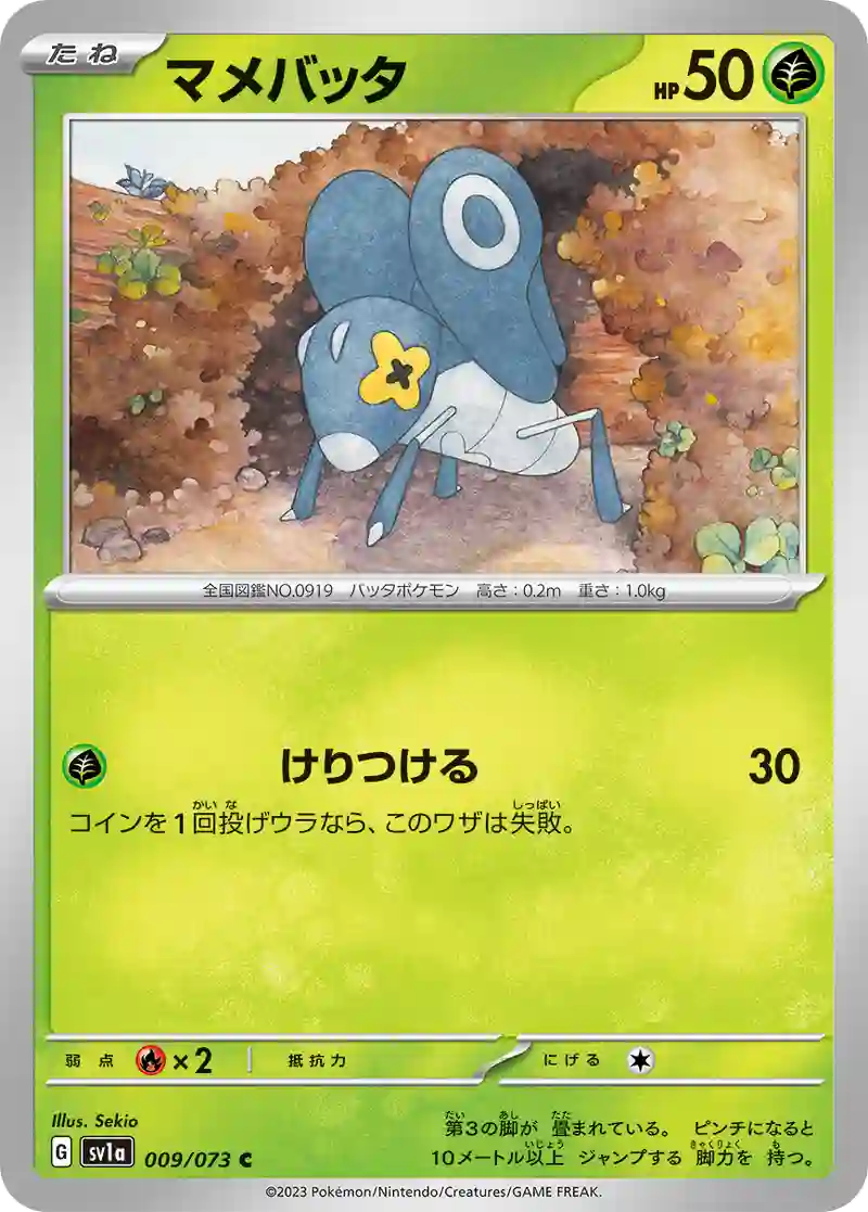 マメバッタ C