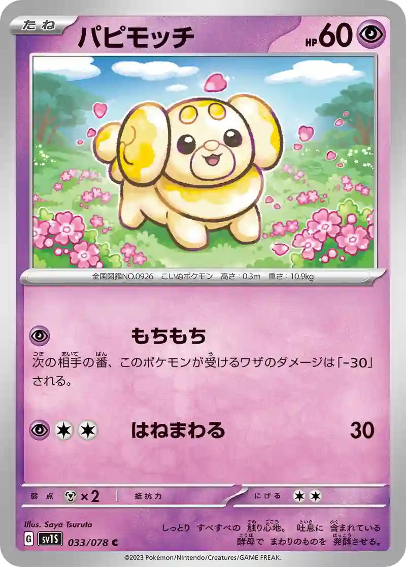 パピモッチ C